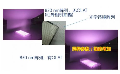 如何修改公众号名称？最全步骤与注意事项