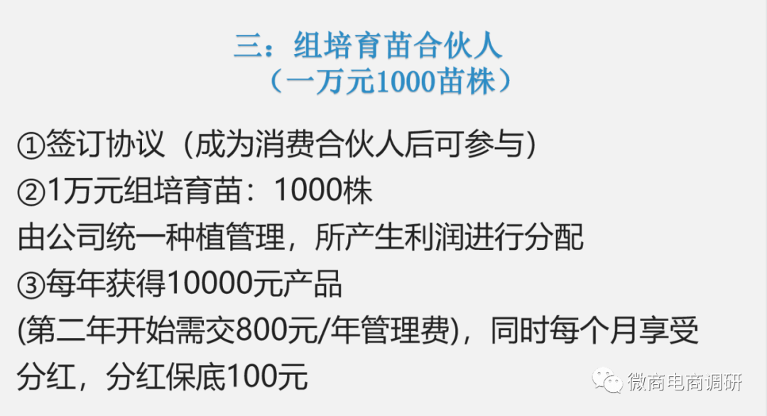 如何维护微博，提升社交影响力
