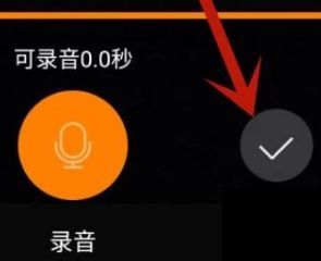 快手怎么设置作品原声，轻松掌握创作技巧！