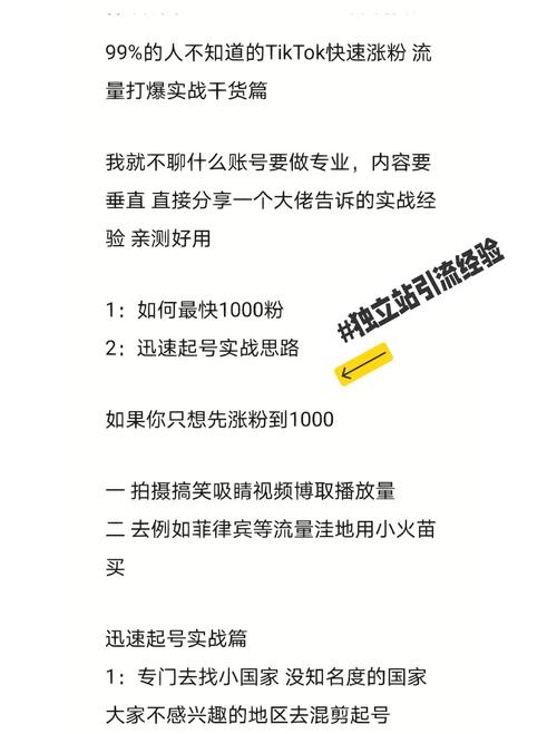包含如何购买tiktok粉丝数的词条