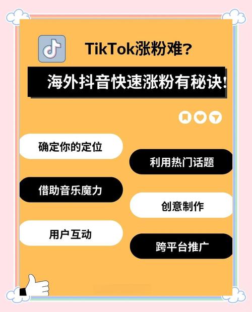 购买的tiktok粉丝怎么使用的简单介绍