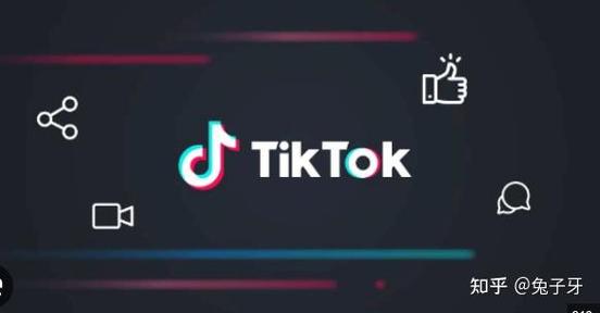 tiktok粉丝平台自助下单_tiktok出粉收粉群