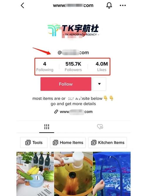 哪里可以购买tiktok粉丝号的简单介绍