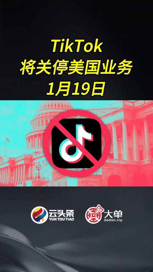 tiktok买涨粉业务_tiktok怎么买热门