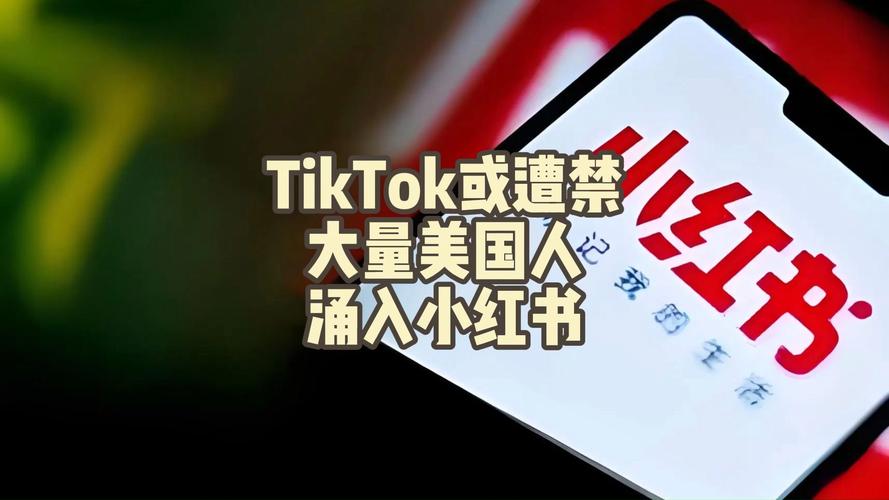 买tiktok真粉_tiktok加粉