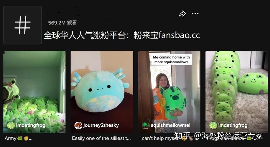 tiktok上买粉_tiktok加粉