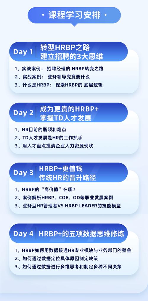 bo业务dy_业务bp是什么职位