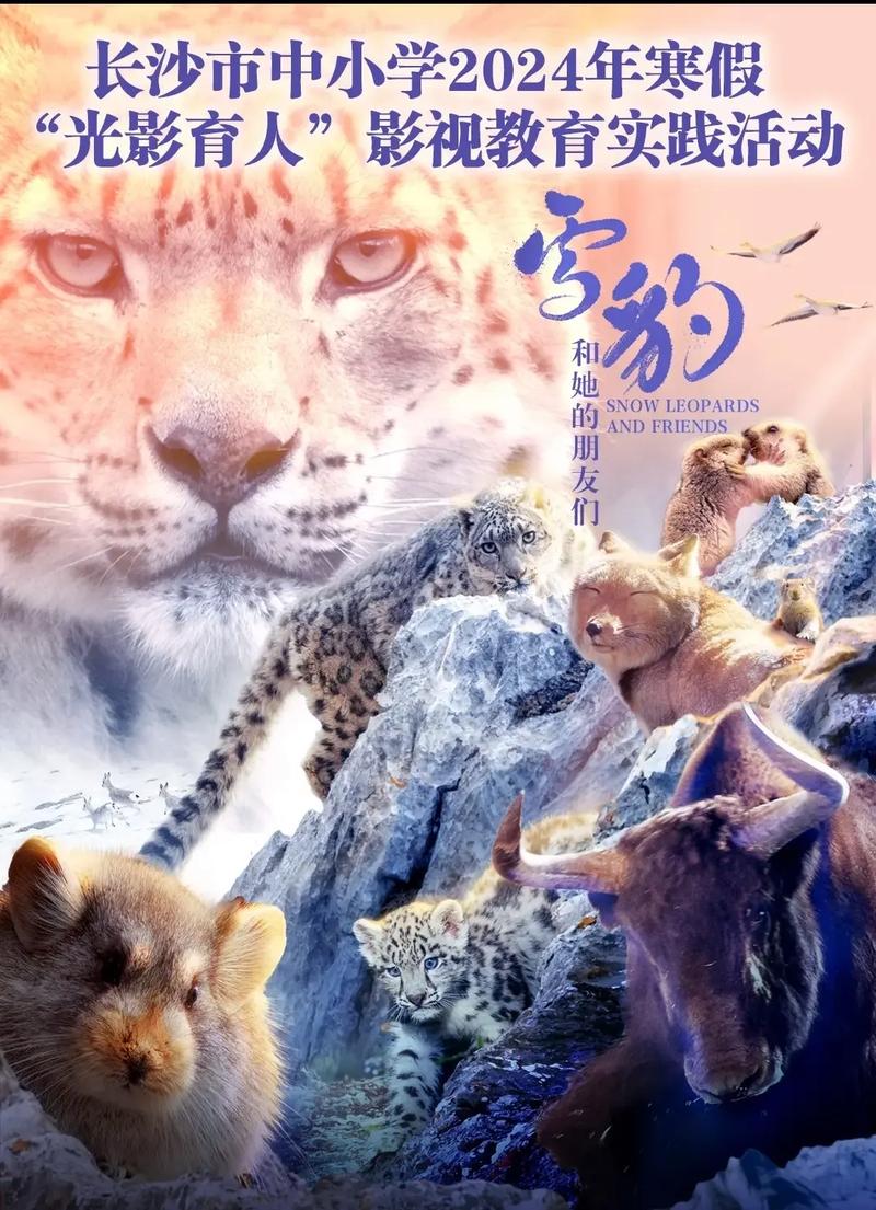 雪豹tiktok粉丝购买网站的简单介绍