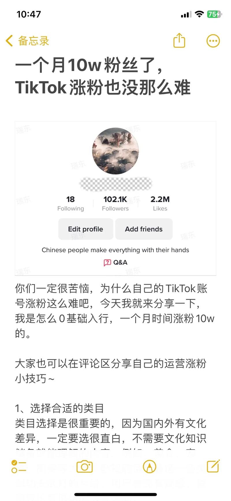 tiktok粉丝最低自助下单_tiktok跑粉