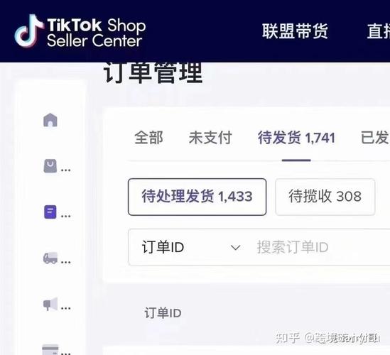 tiktok粉丝最低自助下单_tiktok跑粉