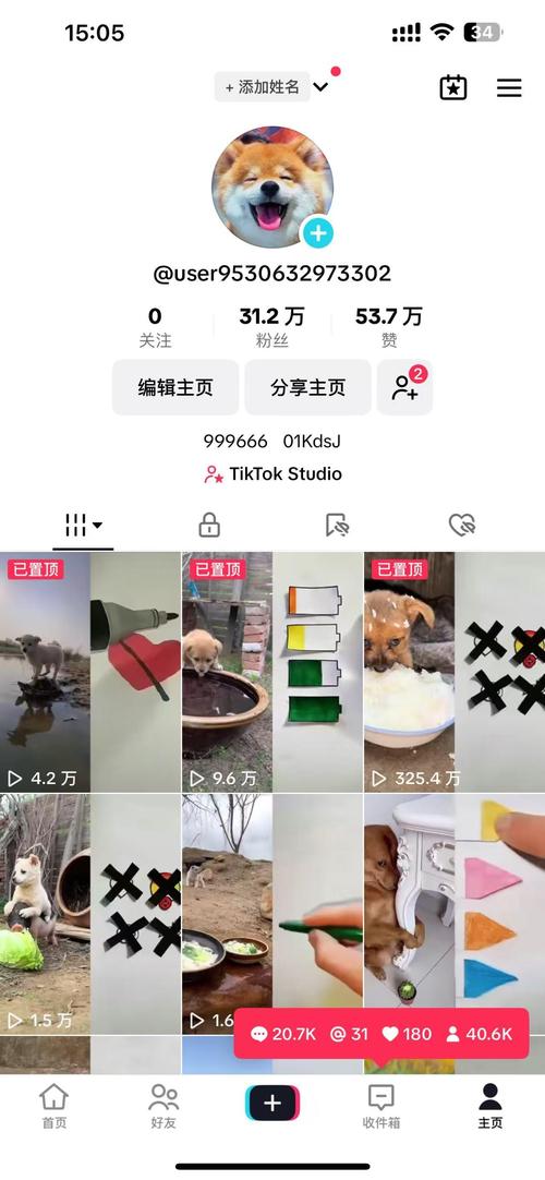 tiktok自助粉丝下单软件_tiktok万粉账号