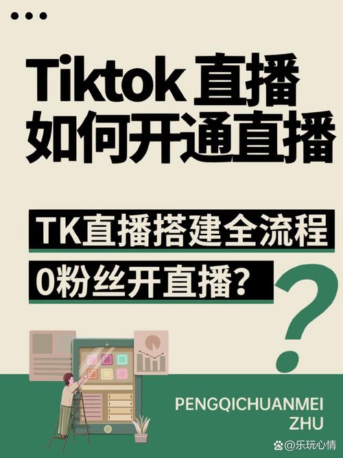 运营tiktok买粉_tiktok售卖