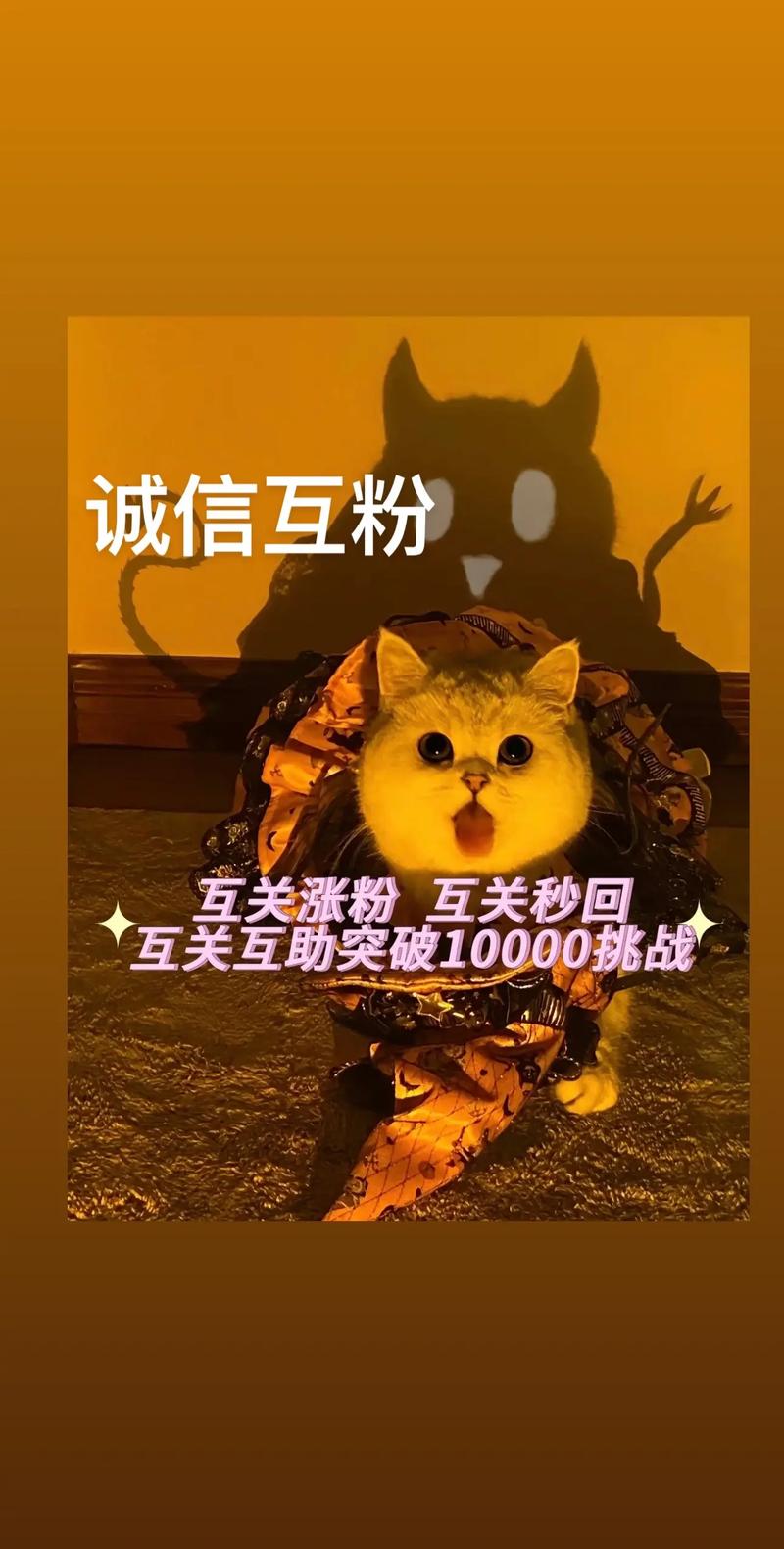 抖音新号1000粉_抖音新号1000粉丝怎么涨粉快
