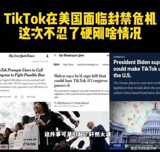 tiktok被人恶意买粉_tiktok容易封号吗