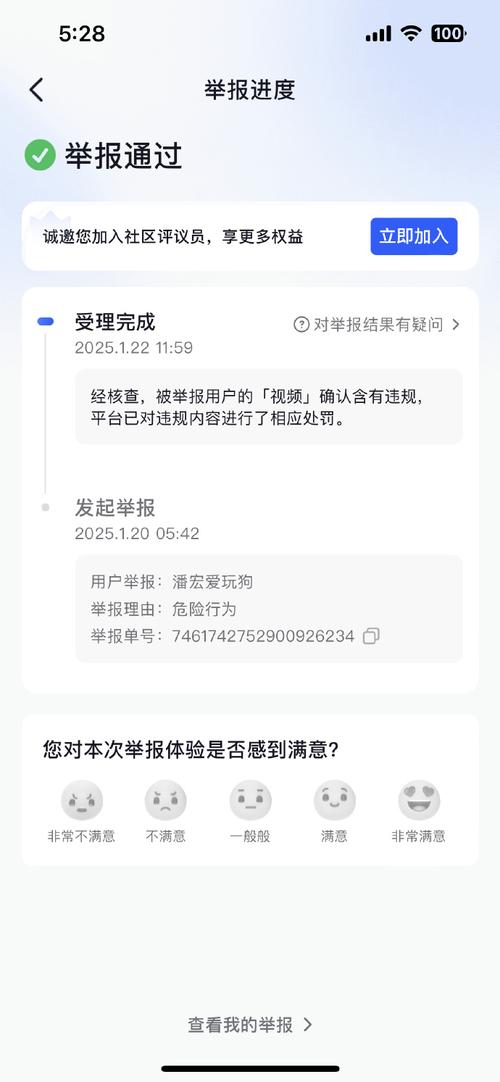Dy代举报业务_代举报平台