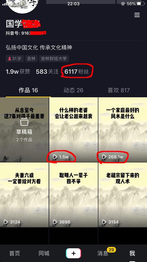 dy业务播放量500_播放量都在500正常吗