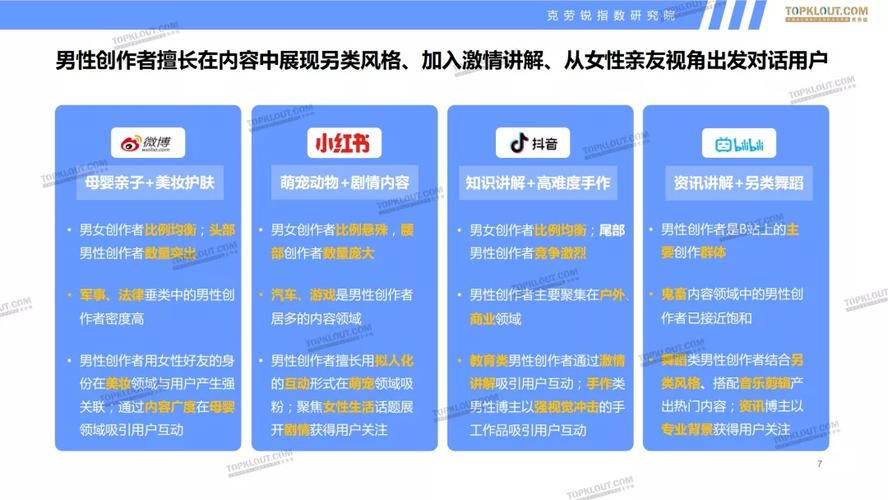 快手网红业务平台,行业生态重构与商业价值深度解析