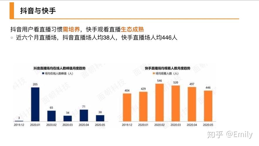 快手视频粉丝经济，深度解析用户增长与商业价值转化路径