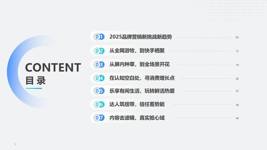 快手网红业务平台，行业生态重构与商业价值深度解析