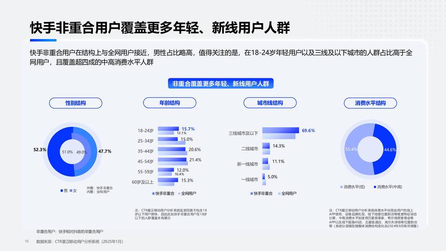 快手业务粉丝经济，深度解析行业生态与增长策略