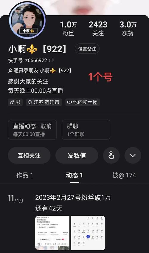 快手评论点赞生态解析，流量价值重构下的用户互动行为研究