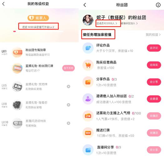 快手生态下粉丝增长策略研究，如何通过精细化运营实现1000粉丝突破