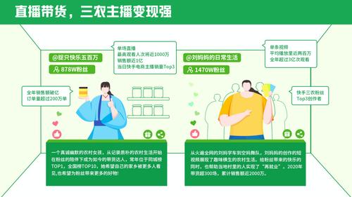 快手生态下的24小时自助下单平台,数字化服务新范式与行业价值重构