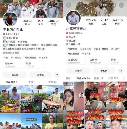 快手粉丝经济新观察，3元1000粉自助下单平台的行业生态与风险解析