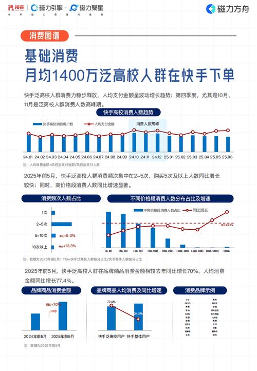 快手生态下的流量变现新路径，24小时双击业务与点赞经济的行业洞察与运营策略