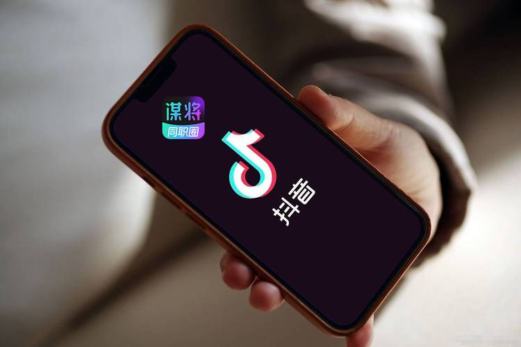 电脑版抖音刷播放量神器,揭秘电脑版抖音刷播放量神器：深入了解与合理使用!