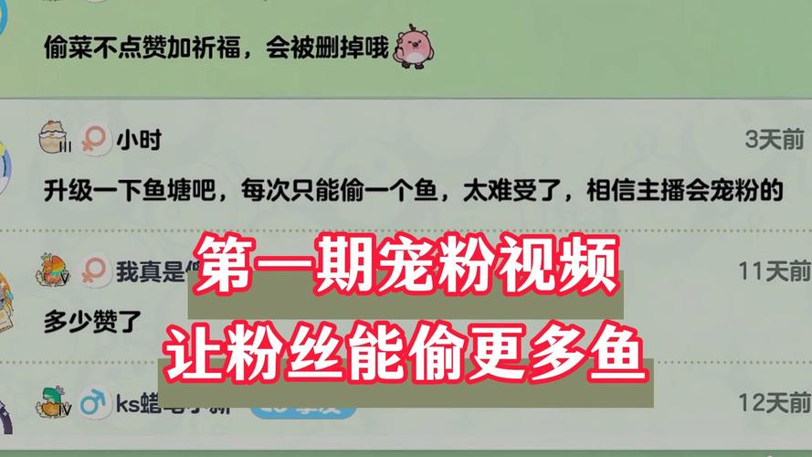 小鱼传媒抖音刷粉