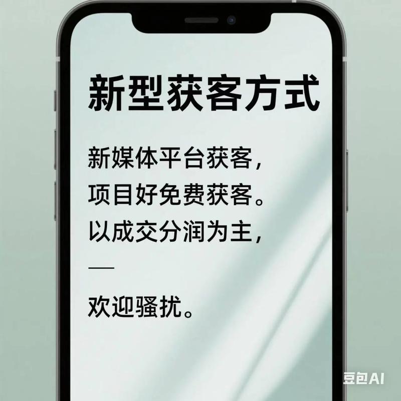 抖音粉丝访客业务,抖音粉丝访客业务：探索背后的机遇与挑战!