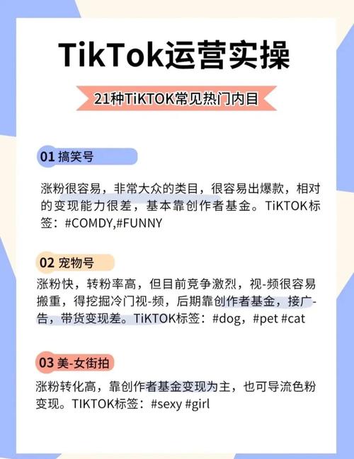 tiktok涨粉最快的赛道,TikTok涨粉最快的赛道：深度分析与策略指南!