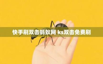 蚂蚁自助下单,探索新型技术：蚂蚁自助下单的魅力与价值!