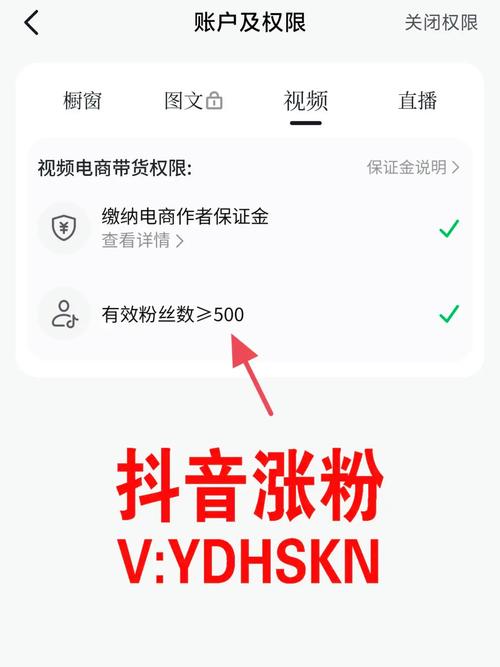 抖音买1000粉买流量,抖音买粉丝与流量：探索背后的策略与影响!