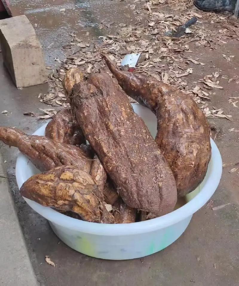 抖音上买的葛根粉是真的不,关于抖音上购买的葛根粉真实性的探讨!