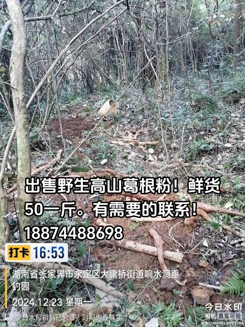 抖音上买的葛根粉是真的不,关于抖音上购买的葛根粉真实性的探讨!