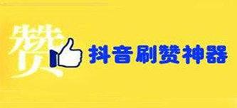 刷赞抖音网站刷赞