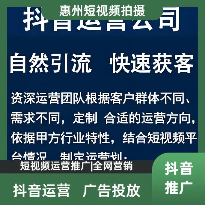 抖音真人粉丝业务,抖音真人粉丝业务：探索、理解与应用!