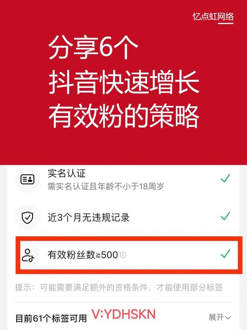 抖音热点宝有效粉丝,抖音热点宝有效粉丝的运营策略与价值体现!