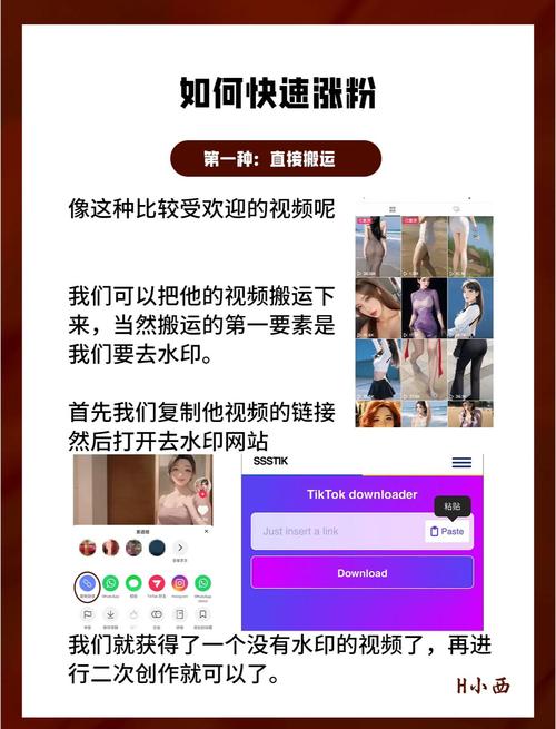 海外抖音tiktok涨粉,探索海外抖音TikTok涨粉的秘密：策略与实践!