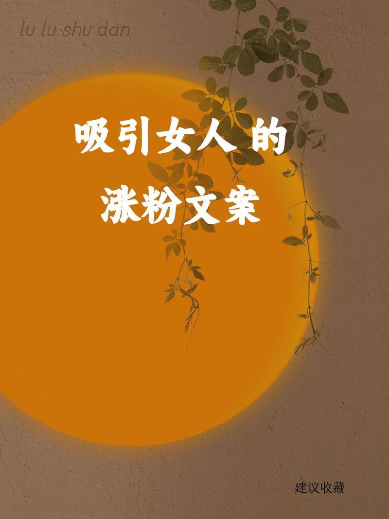 抖音买流量不涨粉,抖音买流量不涨粉的真相与解析!