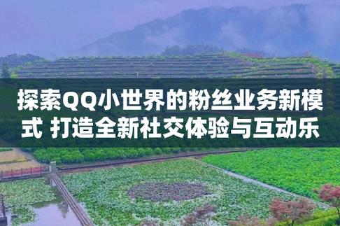 抖音真人粉丝业务网站,抖音真人粉丝业务网站：揭秘背后的真相与深度解析!