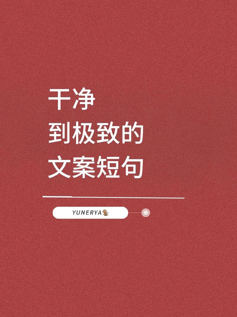 抖音粉丝业务成功文案怎么写,抖音粉丝业务成功文案!