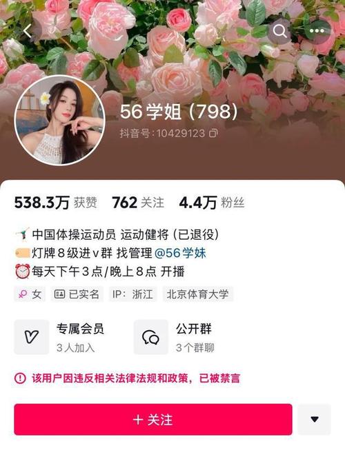 抖音活粉丝购买