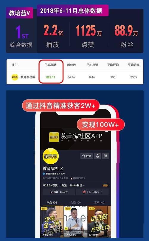 抖音刷粉做代理