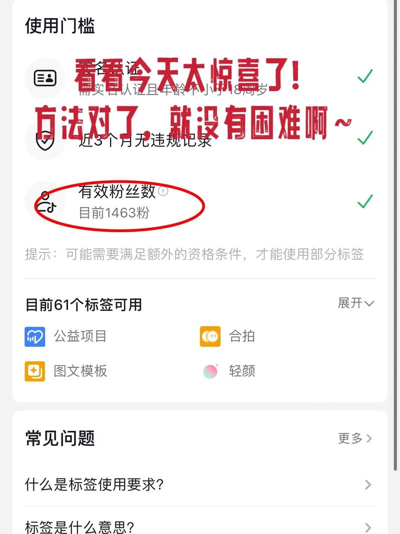 刷抖音粉丝赞,抖音粉丝赞的重要性与提升策略：揭秘如何有效刷粉丝赞!