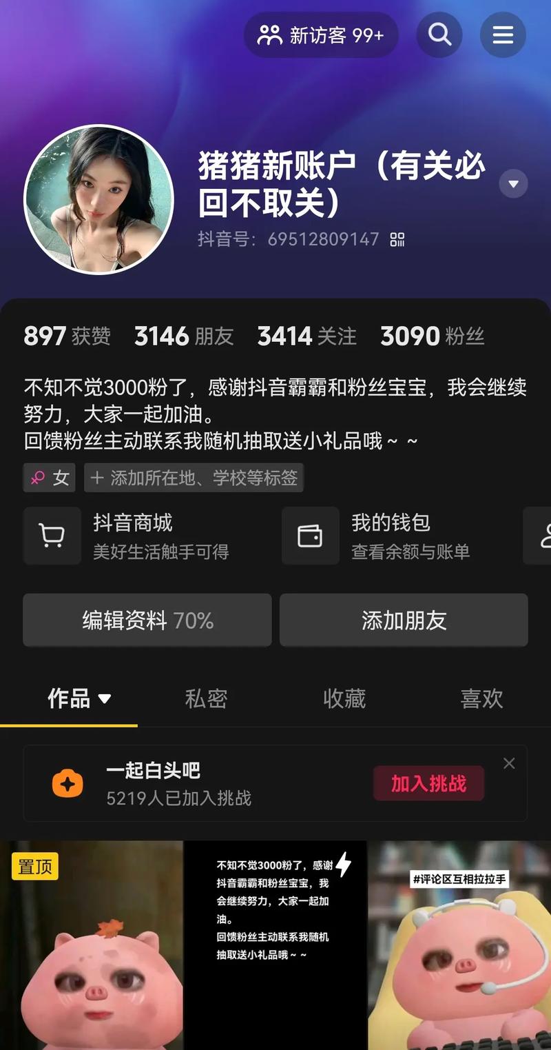 抖音增加粉丝业务,抖音增加粉丝业务：探索与实践的全方位指南!