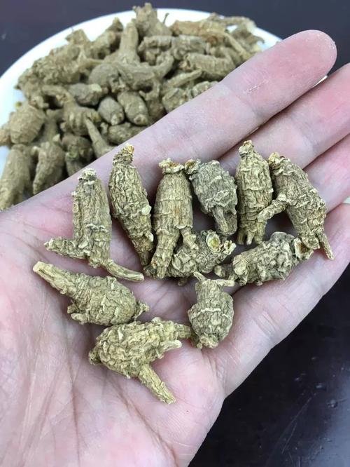 洋参粒自助下单,洋参粒自助下单:健康养生新选择!