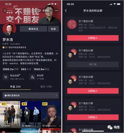 抖音粉丝购买官网,抖音粉丝购买官网：探索与反思!